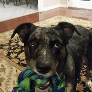 Meet your Posher, Deborah